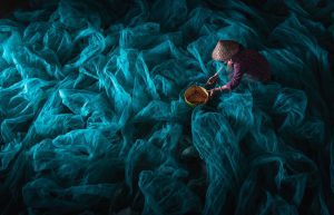 We requested that photographers from around the world submit their most ...
