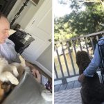 Woman Discovers Her Dad Dozing Off With All The Neighborhood Dogs